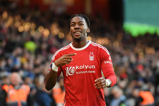 其他年轻球 其他年轻球