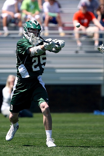 在积分榜上 在积分榜上